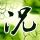 油价暴跌 金价反弹